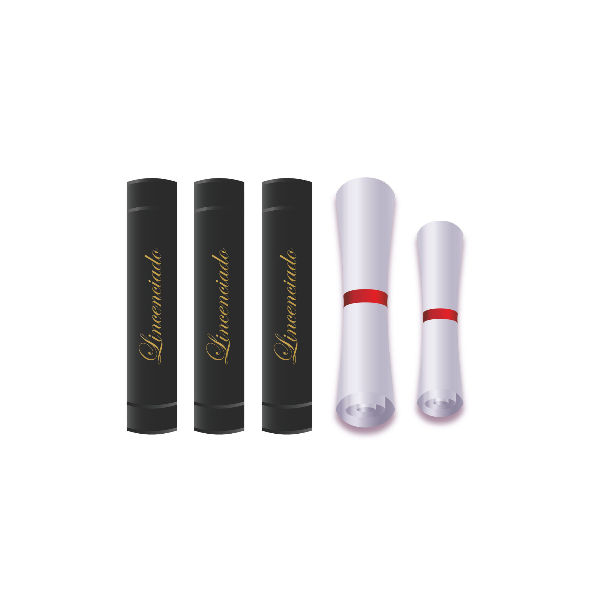 KIT DE OUTORGA (1 BECA / 1 CHAPEU / 1 FAIXA / 1 CINTO 1 CAPA DURA / 4 FAIXAS / 4 EMBLEMAS EM BORDADO)